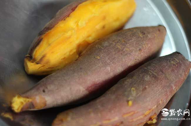 蔬菜营养价值排行榜