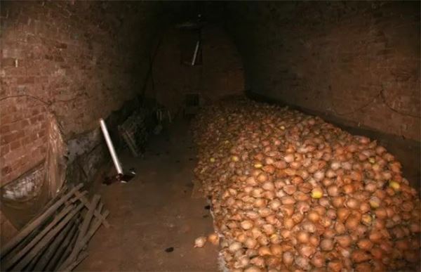 苹果采摘之后怎样贮藏保鲜