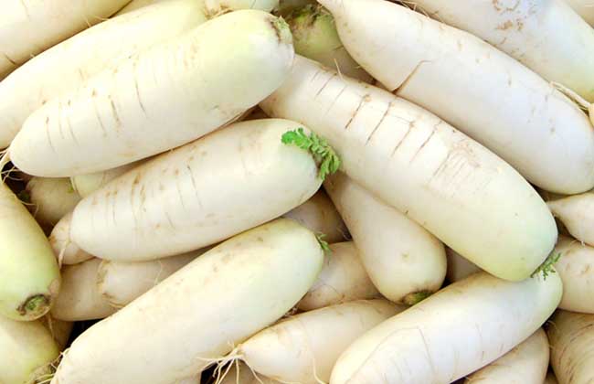 白萝卜和胡萝卜的区别