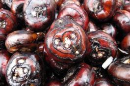 胡萝卜可可糖片