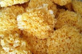 科学贮藏马铃薯