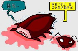 产品贮运：荸荠土法贮藏保鲜技术