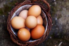 葡萄栽培管理对贮藏的影响