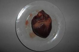 蛇瓜的优质科学栽培管理技术