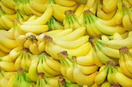 早熟毛豆栽培管理技术