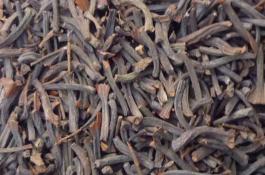 七个优良苦瓜品种