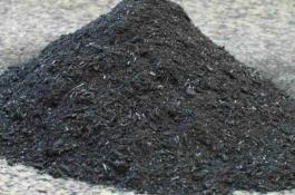 芋头栽培：育苗与定植