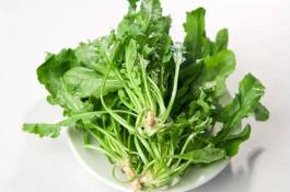 莴笋夏秋播种催芽方法 莴笋夏秋播种催芽方法