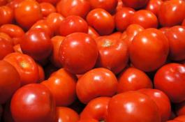 速冻鲜食兼用春毛豆新品种