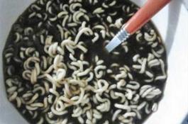 板蓝根泡面能吃吗？