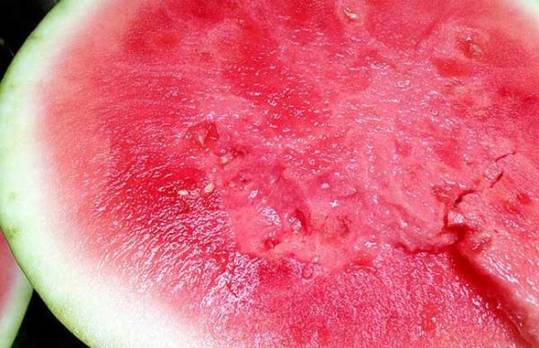 无籽西瓜对人有害吗？