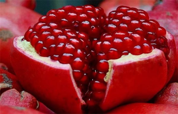 软籽石榴种植的注意事项