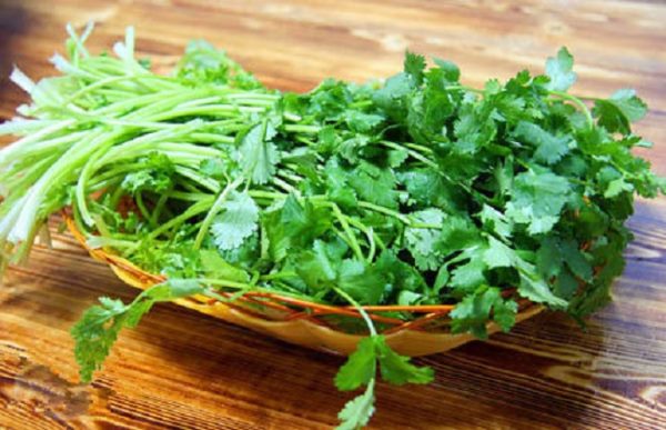 香菜的种植时间与方法