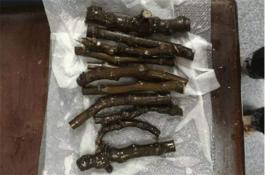 苋菜反季节高产栽培技术