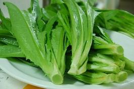 保健营养植物“紫苏”的栽培方法