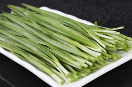 香椿芽菜保温箱栽培方法