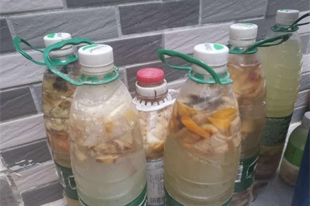 果皮怎么发酵做肥料
