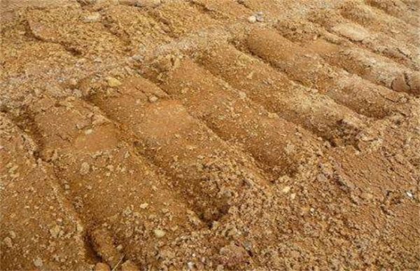 玫瑰种植土壤要求