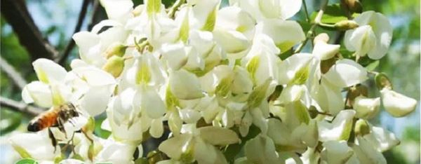 选择、坚持、热爱 他们把货从农村卖向全国！