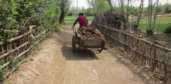 现在农村干什么赚钱