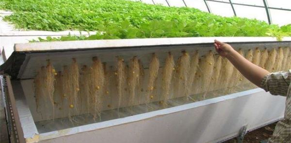 新型农业种植模式
