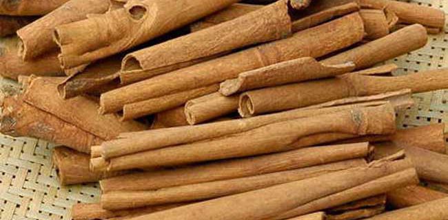 福建种植什么药材最赚钱