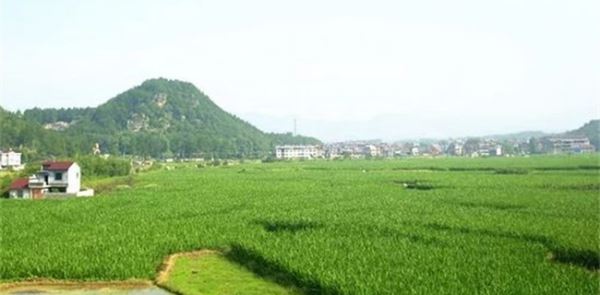 现在农村干什么赚钱