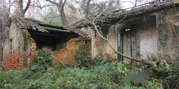 农业农村部关于农村宅基地及优化土地供给的答复