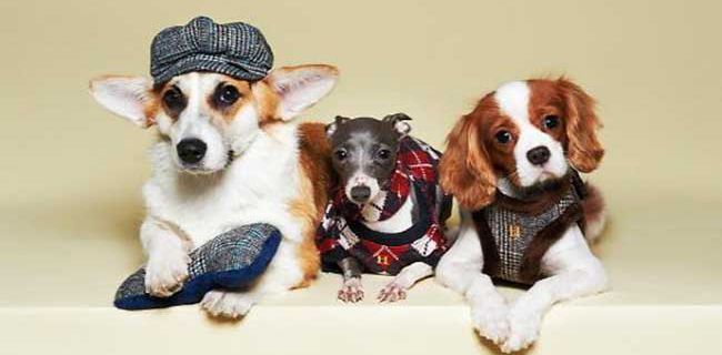 最适合穷人的创业小项目