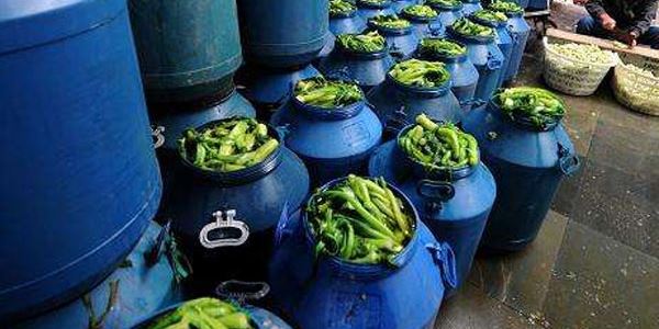 农村适合做什么加工厂？这几个的致富商机都不错！