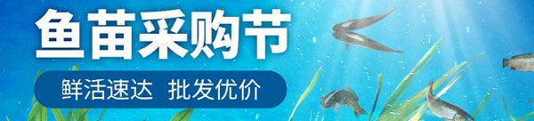 今年黄颡鱼价格多少钱一斤?黄颡鱼养殖成本利润分析