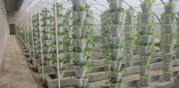 新型农业种植模式