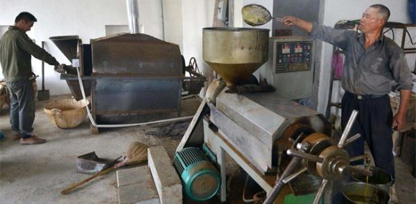 春节赚钱暴利项目