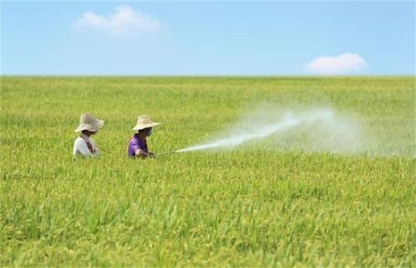 化学农药防治的缺点
