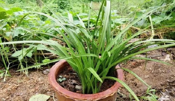 选择、坚持、热爱 他们把货从农村卖向全国！