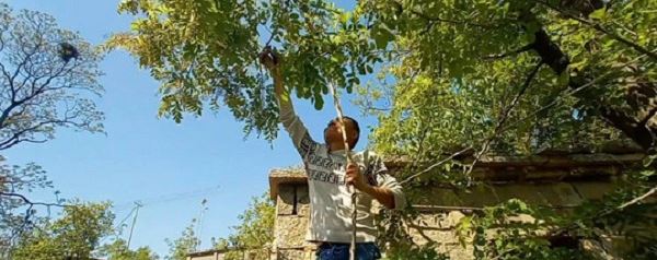 选择、坚持、热爱 他们把货从农村卖向全国！