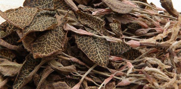 农村种植什么好赚钱