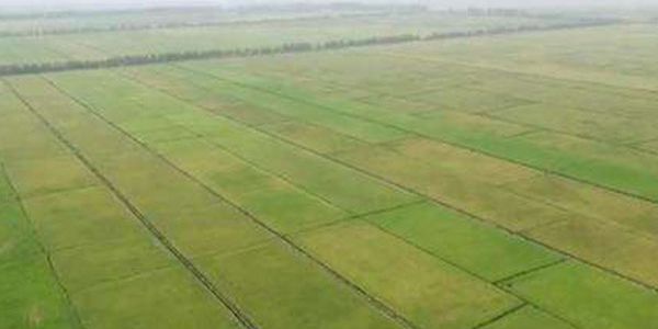 农业农村部关于推进高标准农田建设的建议答复