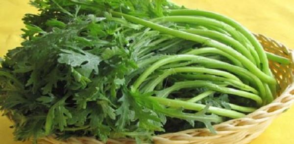 2018种什么蔬菜赚钱