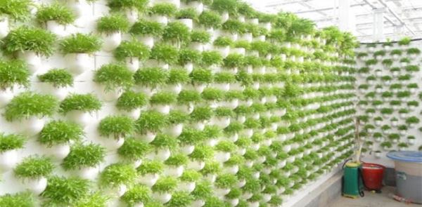 新型农业种植模式