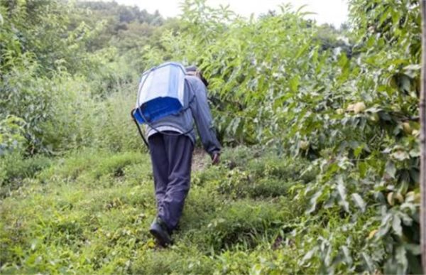 为啥农药使用后药效差