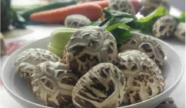 选择、坚持、热爱 他们把货从农村卖向全国！