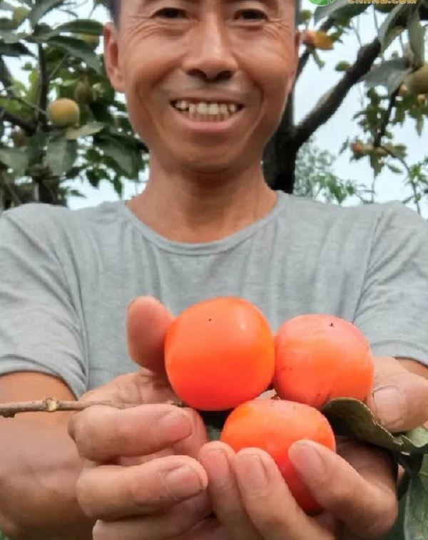 选择、坚持、热爱 他们把货从农村卖向全国！