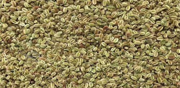 蛇床子种植效益