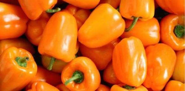 2018种什么蔬菜赚钱