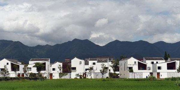 农业农村部关于边远山区乡村特色经济发展的建议答复