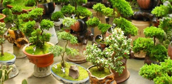 春节卖什么最挣钱