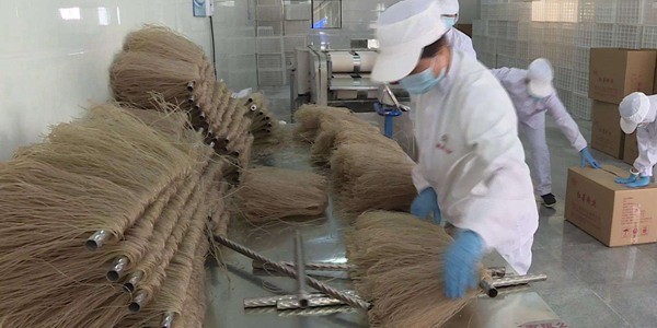 2020加工厂项目推荐