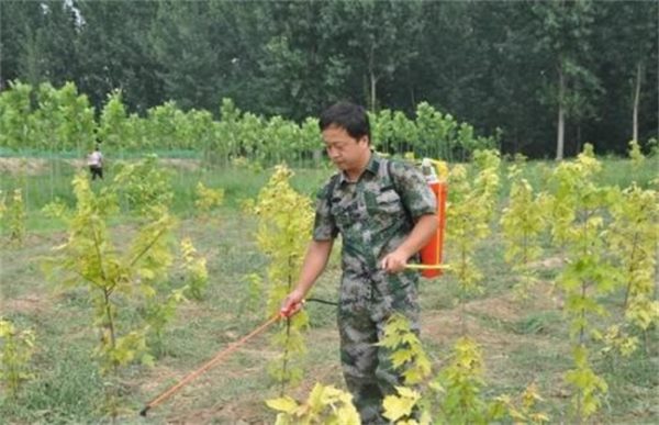 雨季如何使用农药