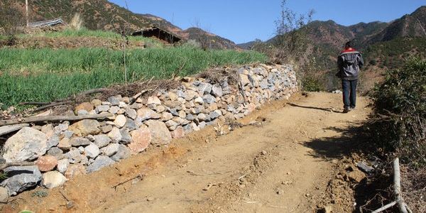 农业农村部关于农村宅基地及优化土地供给的答复